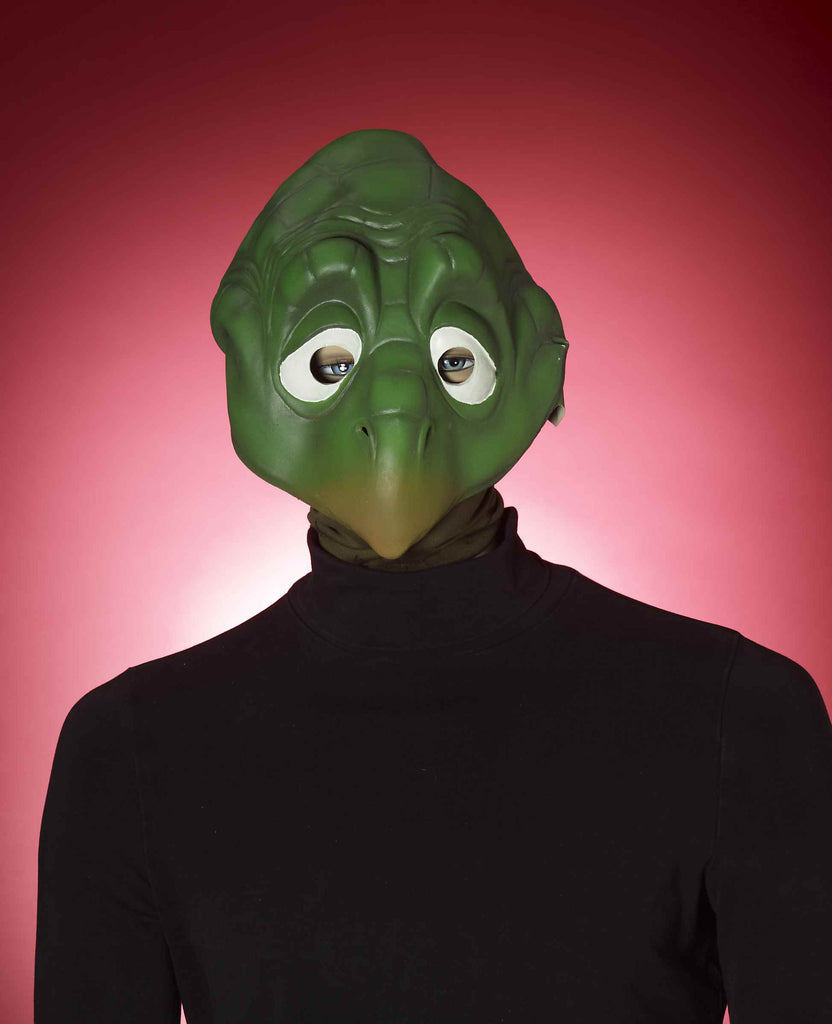 Turtle Mask - Rubies Costumes & Accessories - HalloweenCostumes4U.com - Accessories