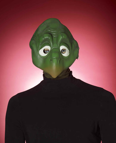 Turtle Mask - Rubies Costumes & Accessories - HalloweenCostumes4U.com - Accessories