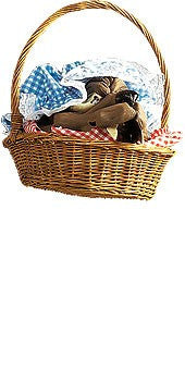 Basket with Wolf Head - Rubies Costumes & Accessories - HalloweenCostumes4U.com - Accessories
