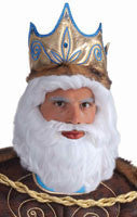 Neptune Wigs Men's Nepture Wig - Rubies Costumes & Accessories - HalloweenCostumes4U.com - Accessories