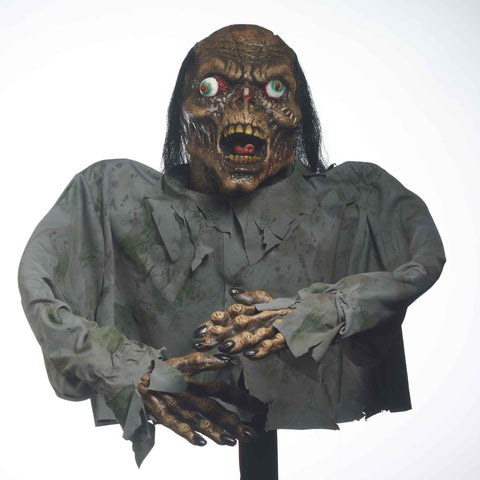 Out Of Ground Corpse Zombie - Rubies Costumes & Accessories - HalloweenCostumes4U.com - Accessories