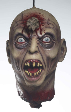 Nail Thru Head Horror Prop - Rubies Costumes & Accessories - HalloweenCostumes4U.com - Decorations