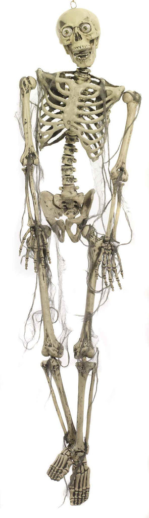 Light Up Skeleton - Rubies Costumes & Accessories - HalloweenCostumes4U.com - Decorations
