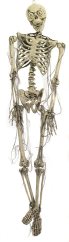 Light Up Skeleton - Rubies Costumes & Accessories - HalloweenCostumes4U.com - Decorations