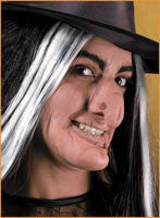 Reel F/X Faerie Tale Witch Prosthetic - Rubies Costumes & Accessories - HalloweenCostumes4U.com - Accessories