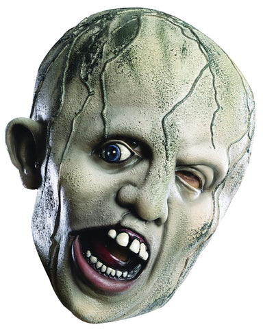 Friday the 13th Young Jason Voorhees Mask - Rubies Costumes & Accessories - HalloweenCostumes4U.com - Accessories