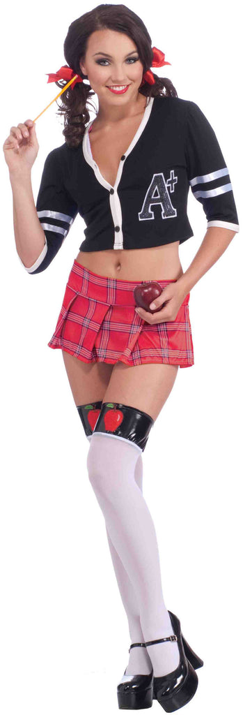 Teacher's Pet-Let.Sweater - Rubies Costumes & Accessories - HalloweenCostumes4U.com - Accessories