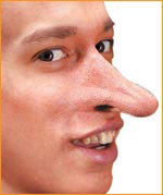 Reel F/X Fantasy Nose Prosthetic - Rubies Costumes & Accessories - HalloweenCostumes4U.com - Accessories