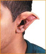 Reel F/X Evil Ears Prosthetic - Rubies Costumes & Accessories - HalloweenCostumes4U.com - Accessories