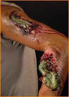 Reel F/X Snake Prosthetic - Rubies Costumes & Accessories - HalloweenCostumes4U.com - Accessories