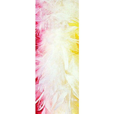 White Turkey Feather Boa - Rubies Costumes & Accessories - HalloweenCostumes4U.com - Accessories