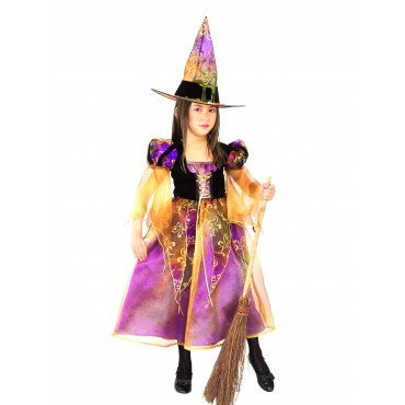 Girls Elegant Witch Costume - Rubies Costumes & Accessories - HalloweenCostumes4U.com - Kids Costumes