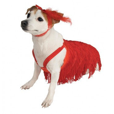 Pets Flapper Costume - Rubies Costumes & Accessories - HalloweenCostumes4U.com - Pet Costumes & Accessories