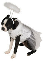 Pets Angel Costume - Rubies Costumes & Accessories - HalloweenCostumes4U.com - Pet Costumes & Accessories
