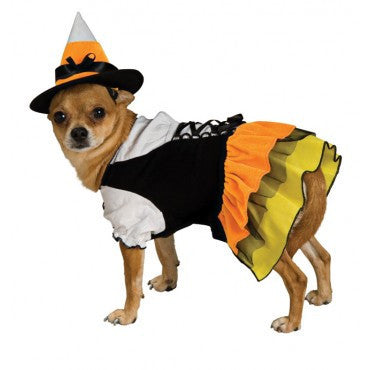 Pets Candy Corn Witch Costume - Rubies Costumes & Accessories - HalloweenCostumes4U.com - Pet Costumes & Accessories