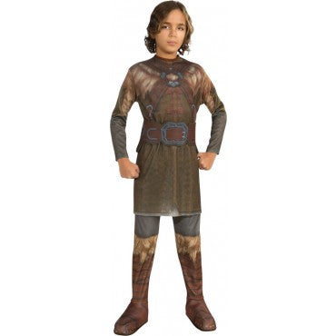 Boys The Hobbit Dwalin Costume - Rubies Costumes & Accessories - HalloweenCostumes4U.com - Kids Costumes