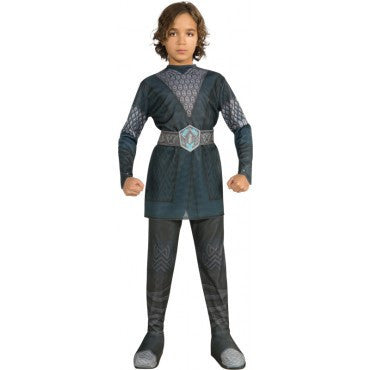 Boys The Hobbit Thorin Costume - Rubies Costumes & Accessories - HalloweenCostumes4U.com - Kids Costumes
