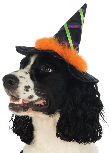 Pets Witch Hat - Various Colors