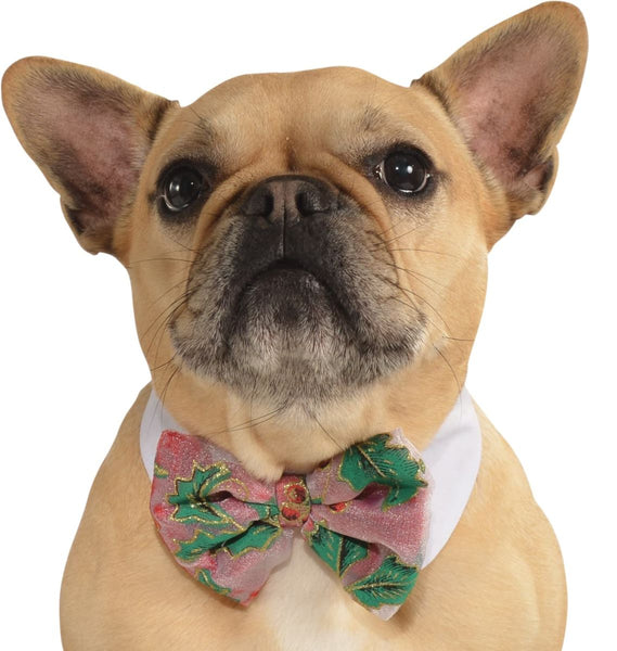 Pets Bow Tie Costume - Various Colors