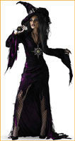 Teen or Adult Gothic Glamour Witch Costume - Disguise Costumes & Accessories - HalloweenCostumes4U.com - Adult Costumes