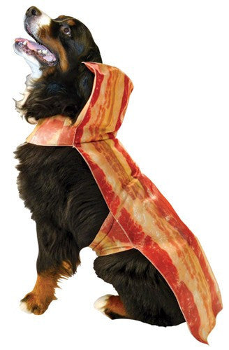 Pets Bacon Costume - HalloweenCostumes4U.com - Pet Costumes & Accessories