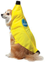Pets Chiquita Banana Costume - Imposta Costumes & Accessories - HalloweenCostumes4U.com - Pet Costumes & Accessories