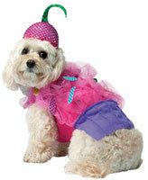 Pets Cupcake Costume - Imposta Costumes & Accessories - HalloweenCostumes4U.com - Pet Costumes & Accessories